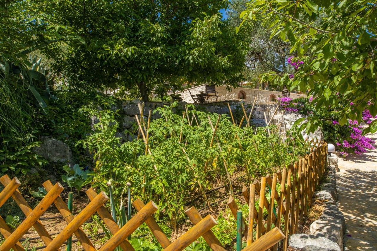 Vila Etno House Wagner Ploce  Exteriér fotografie